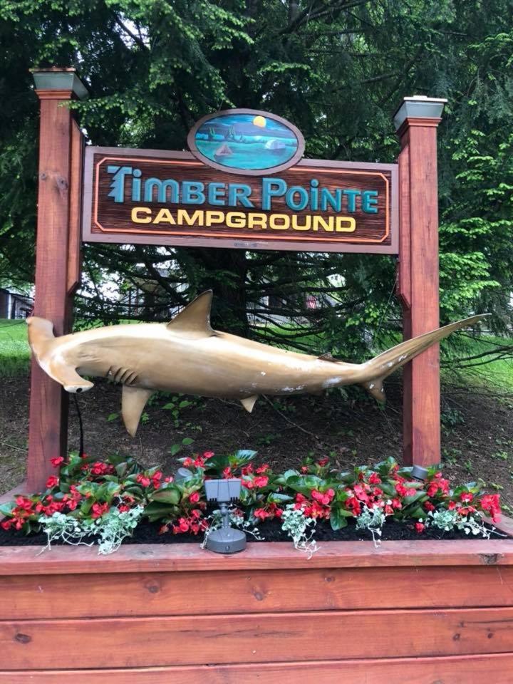 Timber Pointe Resort Jamestown Bagian luar foto